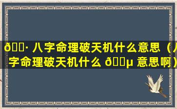 🌷 八字命理破天机什么意思（八字命理破天机什么 🌵 意思啊）